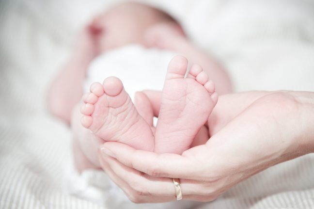 close-up-of-hands-holding-baby-feet-325690